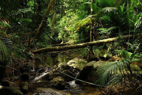 Daintree Discovery Centre Family Pass Ticket - Holiday Find 5