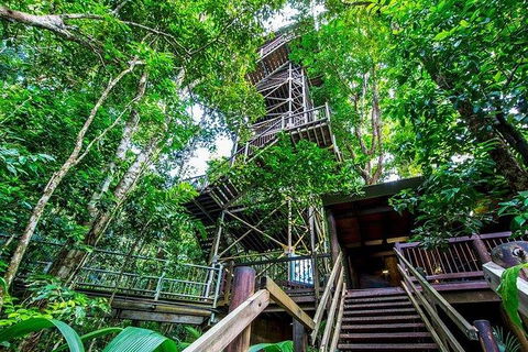 Daintree Discovery Centre Family Pass Ticket - Holiday Find 4