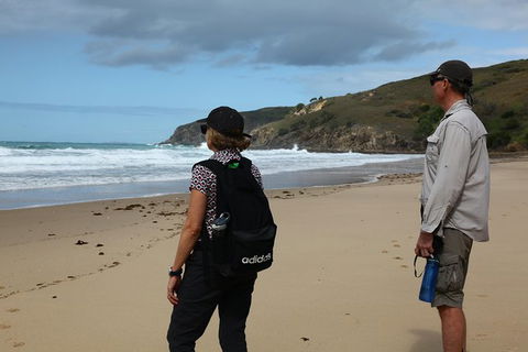 Tropical Beach Adventure - Private 4X4 Day Tour With Pickup - Holiday Find 0