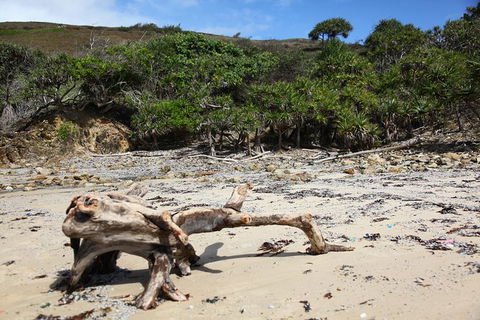 Tropical Beach Adventure - Private 4X4 Day Tour With Pickup - Holiday Find 5