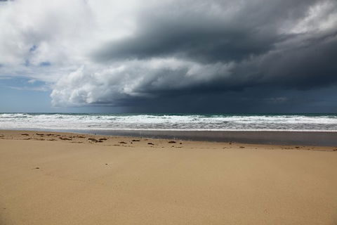 Tropical Beach Adventure - Private 4X4 Day Tour With Pickup - Holiday Find 9