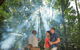 Mossman Gorge Dreamtime Tour - thumb 4