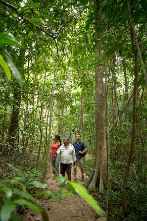 Mossman Gorge Dreamtime Tour - Holiday Find 2