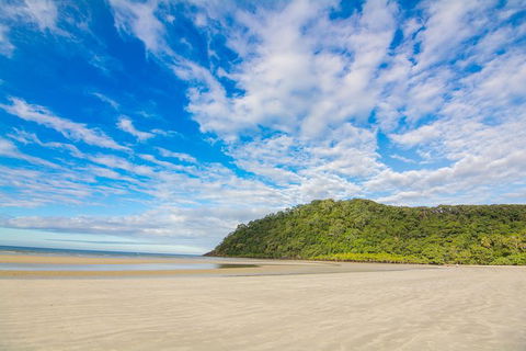 Daintree Afternoon Nocturnal Nature And Wildlife Tour - Holiday Find 8