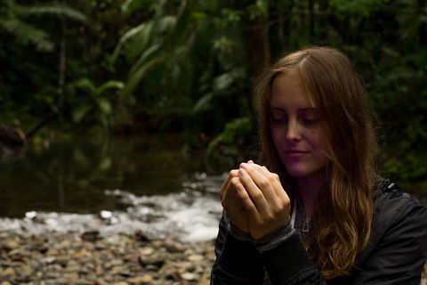 Daintree And Cape Tribulation Full Day Guided Tour - Holiday Find 4