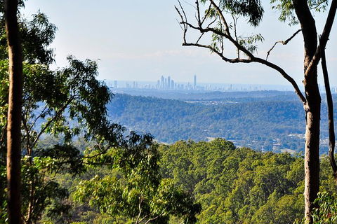 Tamborine Mountain & Gold Coast Tour - Holiday Find 3