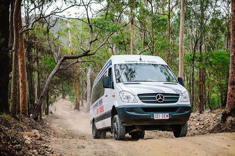 Tamborine Mountain & Gold Coast Tour - Holiday Find 4