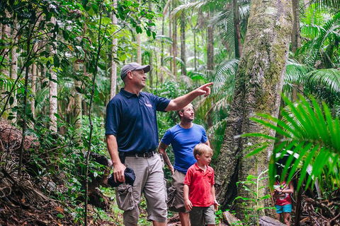 Tamborine Mountain & Gold Coast Tour - Holiday Find 1