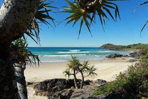 Fingal Head Learn-to-Surf Day Trip From The Gold Coast Or Byron Bay - Holiday Find 4