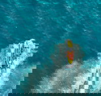 1 Hour Stunning Jet Ski Experience - Holiday Find