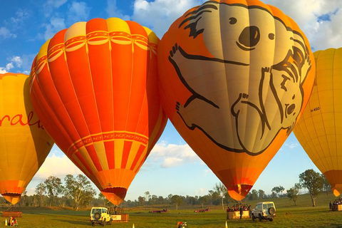 Hot Air Ballooning Brisbane Including Canungra Vineyards Breakfast - Holiday Find 6