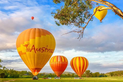 Hot Air Ballooning Brisbane Including Canungra Vineyards Breakfast - Holiday Find 7