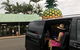 Private Transfer From Brisbane Airport To Noosa For 1 To 7 People - thumb 2