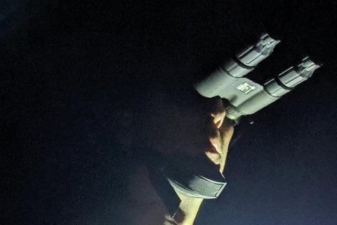 Nature By Night - Holiday Find 3