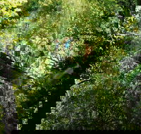 OReillys Rainforest Retreat and Winery Day Tour from Nerang - Holiday Find