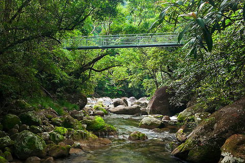 SHUTTLE - Mossman Gorge & Cooya Beach From Port Douglas (Return Transfer) - Holiday Find 4
