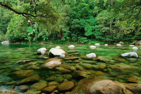 SHUTTLE - Mossman Gorge & Cooya Beach From Port Douglas (Return Transfer) - Holiday Find 3