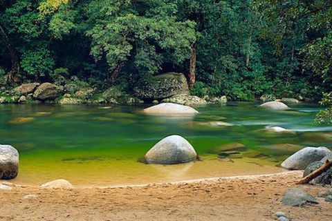 SHUTTLE - Mossman Gorge & Cooya Beach From Port Douglas (Return Transfer) - Holiday Find 1