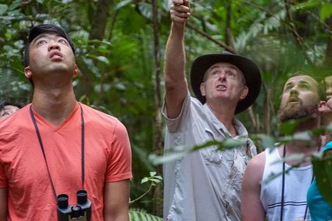 Rainforest & Nocturnal Wildlife Tour - Holiday Find 2