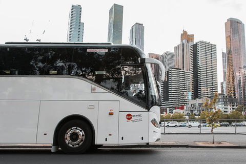 Private 13 Seat Mini Bus Brisbane CBD To Lone Pine Koala Sanctuary Transfer - Holiday Find 1