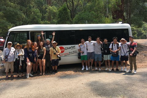 Private 13 Seat Mini Bus Brisbane CBD To Lone Pine Koala Sanctuary Transfer - Holiday Find 4