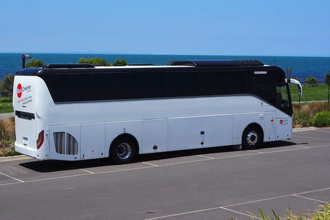 Private 13 Seat Mini Bus Brisbane CBD To Lone Pine Koala Sanctuary Transfer - Holiday Find 3