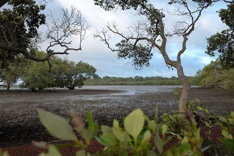 Private Full-Day Guided Tour With Workshop: Karragarra And Macleay Island - Holiday Find 28