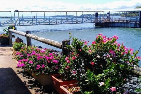 Private Full-Day Guided Tour With Workshop: Karragarra And Macleay Island - Holiday Find 23