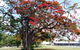 Private Full-Day Guided Tour With Workshop: Karragarra And Macleay Island - thumb 29