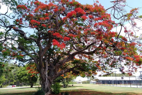 Private Full-Day Guided Tour With Workshop: Karragarra And Macleay Island - Holiday Find 29