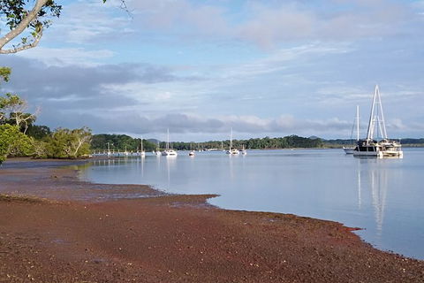 Private Full-Day Guided Tour With Workshop: Karragarra And Macleay Island - Holiday Find 18