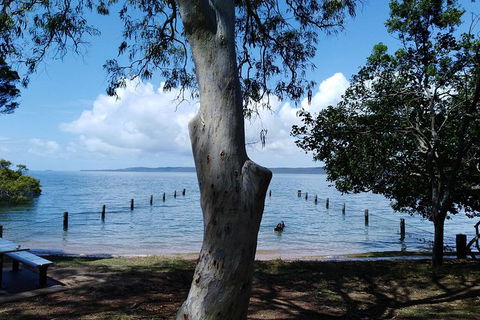 Private Full-Day Guided Tour With Workshop: Karragarra And Macleay Island - Holiday Find 2