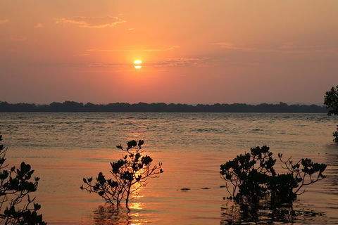 Private Full-Day Guided Tour With Workshop: Karragarra And Macleay Island - Holiday Find 0