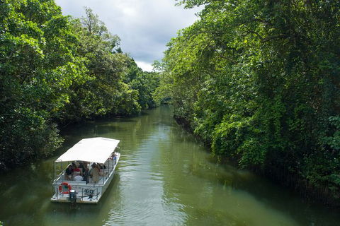 World Heritage Highlights: Reef/Daintree/Cape Tribulation - Holiday Find 1