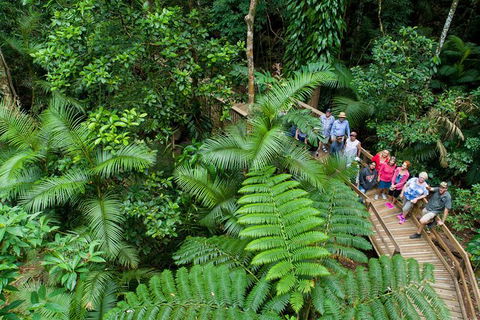 World Heritage Highlights: Reef/Daintree/Cape Tribulation - Holiday Find 3