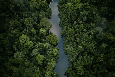 World Heritage Highlights: Reef/Daintree/Cape Tribulation - Holiday Find 10