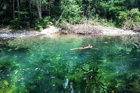 World Heritage Highlights: Reef/Daintree/Cape Tribulation - Holiday Find 4