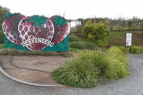 Adelaide Hills Regional / Hahndorf German Village Tour - Holiday Find 6