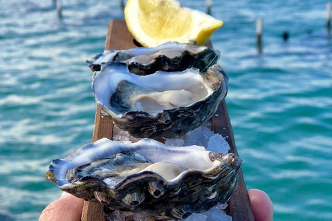 Coffin Bay Oysters, Ocean & Nature Tour - Holiday Find 0