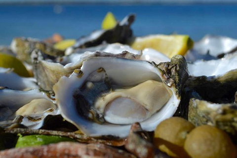 Coffin Bay Oysters, Ocean & Nature Tour - Holiday Find 8