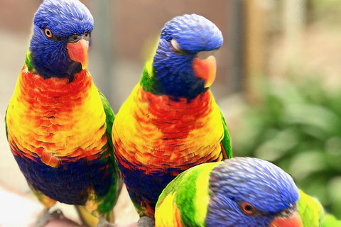 Coffin Bay Oysters, Ocean & Nature Tour - Holiday Find 9