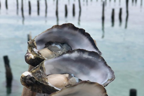 Coffin Bay Oysters, Ocean & Nature Tour - Holiday Find 6