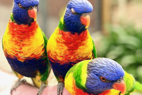Coffin Bay Oysters, Ocean & Nature Tour - Holiday Find 1