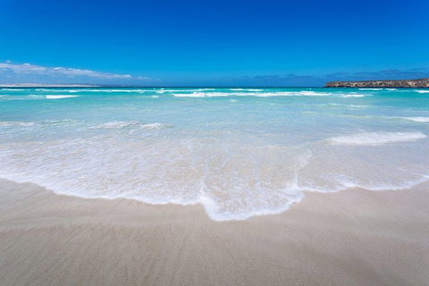 Coffin Bay Oysters, Ocean & Nature Tour - Holiday Find 14