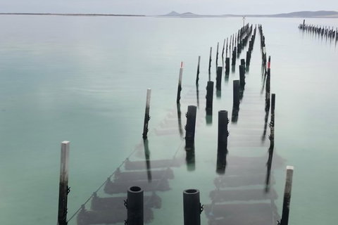 Coffin Bay Oysters, Ocean & Nature Tour - Holiday Find 15