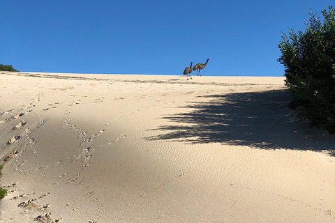 Coffin Bay Oysters, Ocean & Nature Tour - Holiday Find 4