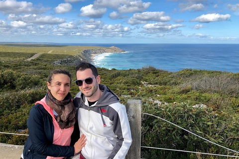 NEW TOUR - Flinders Chase Tour (Recovering From Fires) - Holiday Find 3