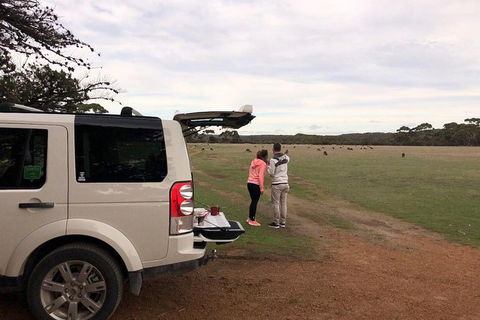 NEW TOUR - Flinders Chase Tour (Recovering From Fires) - Holiday Find 6