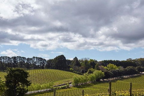 Adelaide Hills Full Day Winery Tour With Tastings - Holiday Find 4
