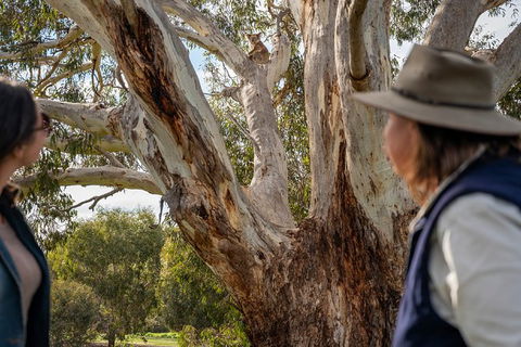 NEW TOUR - Kangaroo Island Road To Recovery Tour (1 Day/1 Night) - Holiday Find 2